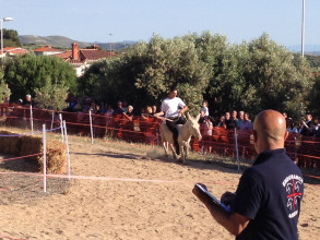 1730947