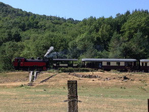 1764209